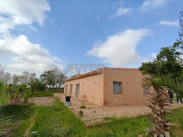Terrain À Vendre 1,1Ha. Oujda - Route Tayret - 2
