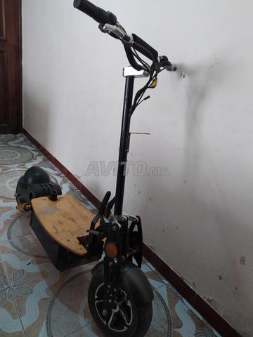 VELO