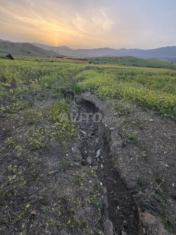 Terrain agricole de 18ha à vendre - 2