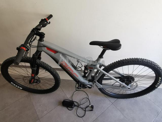 BMC Speedfox AMP tree - 2