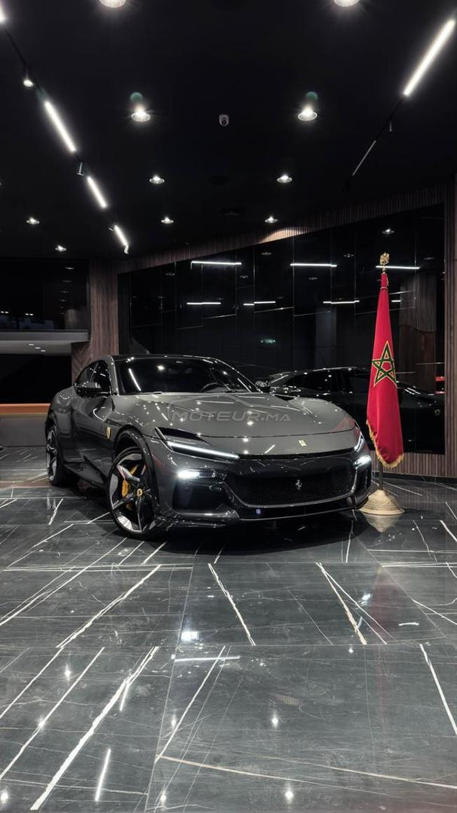 FERRARI PUROSANGUE
