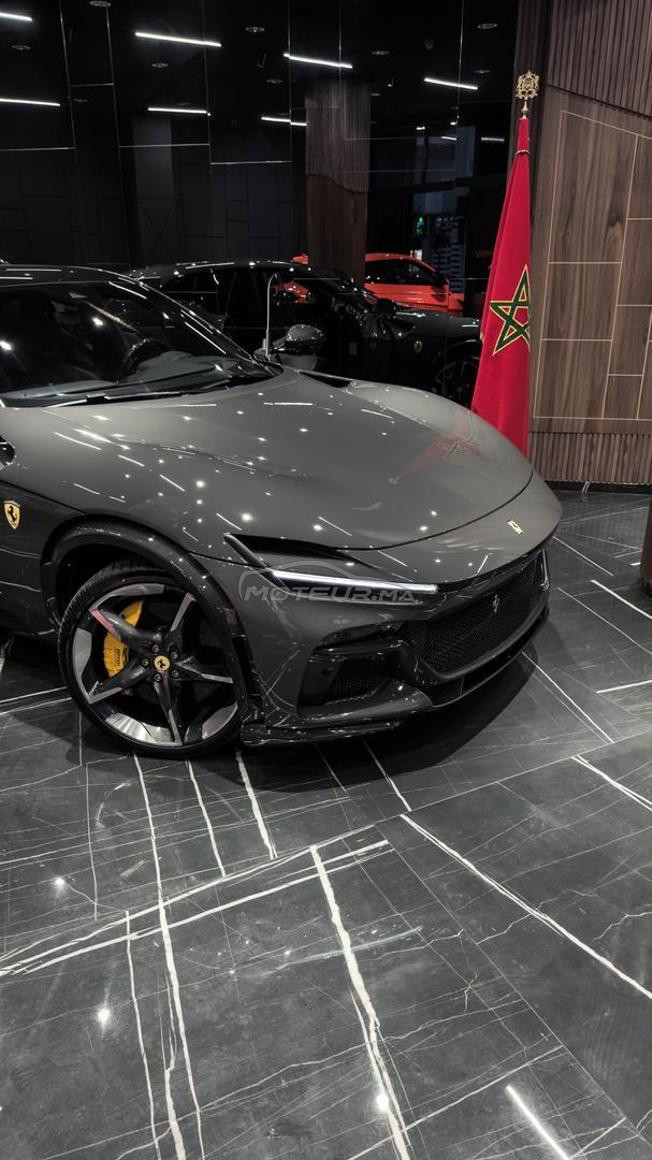 FERRARI PUROSANGUE