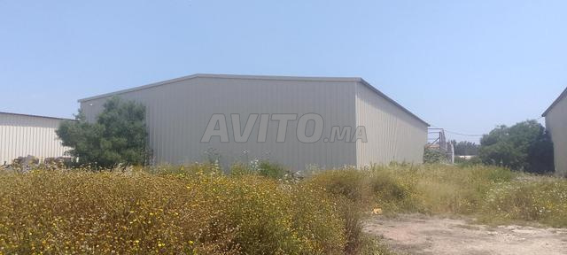 هنجرات للبيع 720 متر في الواحد - 2