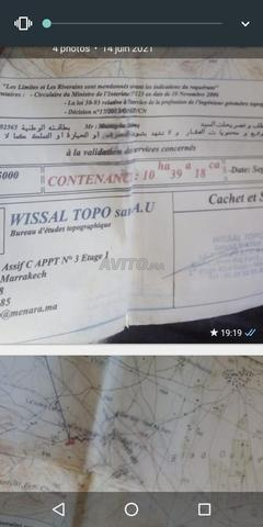جماعة بوروس - 2