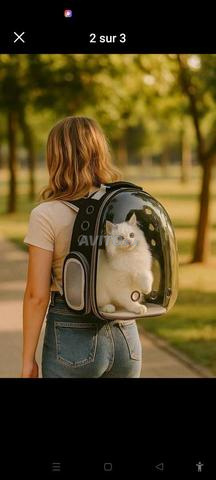 Cartable chat 🐱 chien 🐕 - 2