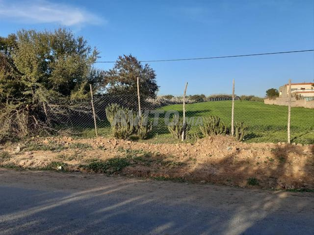 Terrain 6000 m² à vendre Shoul proche Salé - 2