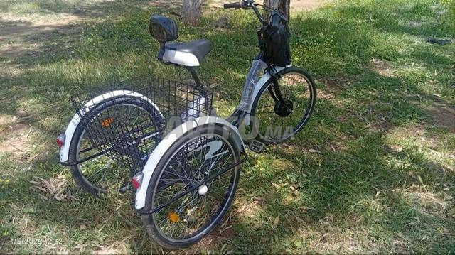 Vélo électrique tricycle - 2