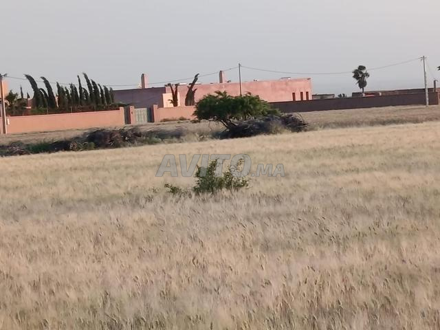 Terrain pour construire une villa - 2