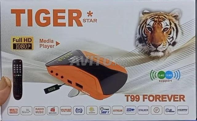 TIGER Star T99 Forever جديد - 2