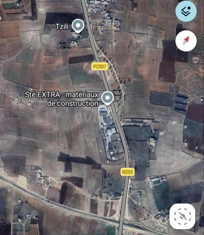 Terrain enregistré à vendre hors de la ville de Safi vers Sebt Gdoula - 2