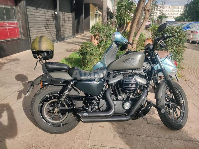 Harley Davidson Iron 883 - 2019 - 13.000 Km