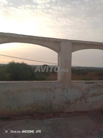 Aguerd Ounir Essaouira - 2