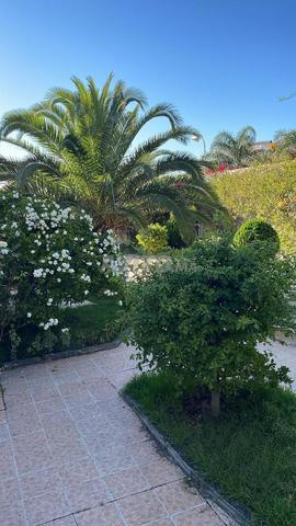 Appartement à louer 400 m² à Tanger - 2