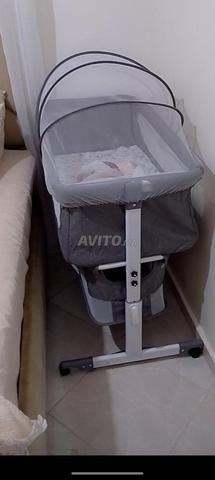 Cododo bébé - 2