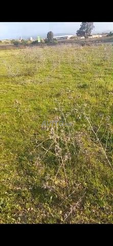 Hectare 2000m² à vendre - 2