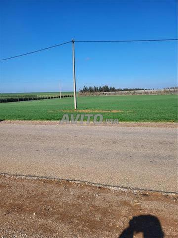 Vente de terrains titrés - Sidi Rahal - Vue sur mer