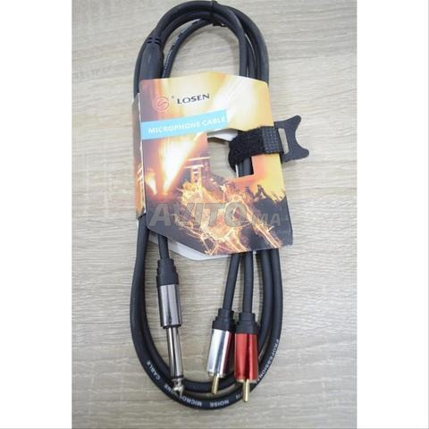 Losen Câble signal 2xRCA mâle JACK mono
