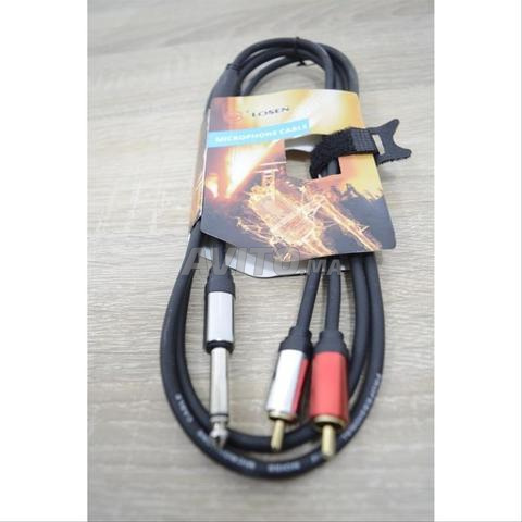 Losen Câble signal 2xRCA mâle JACK mono - 2