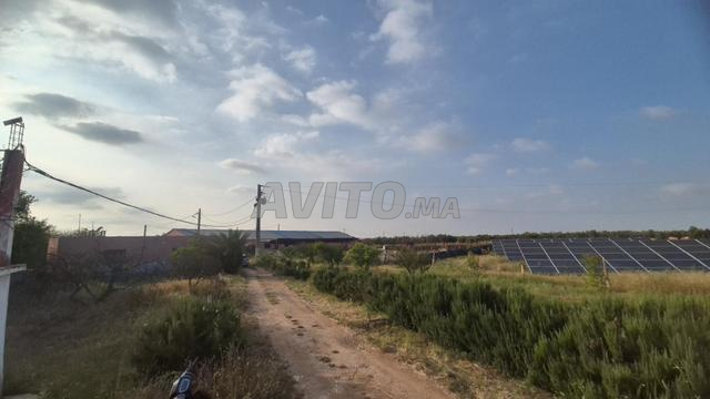 36 hectare El Jadida - 2