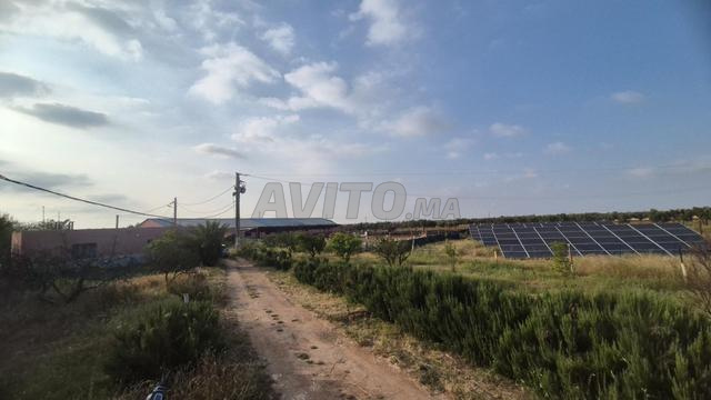 36 hectare El Jadida - 2