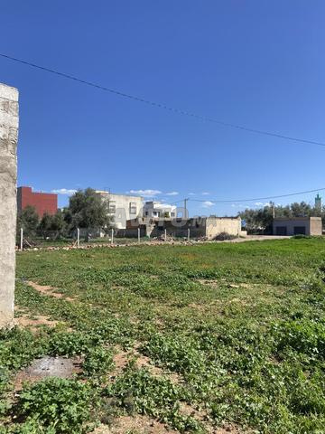 Terrain et petite maison à vendre sur route 1200 mètres agricoles - 2