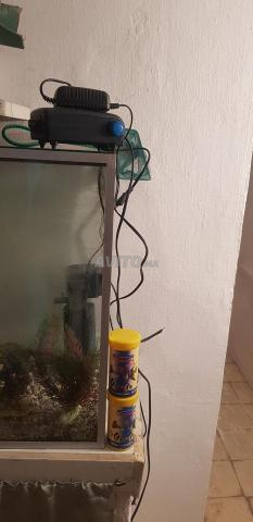 Aquarium en bon état avec tous les accessoires - 2