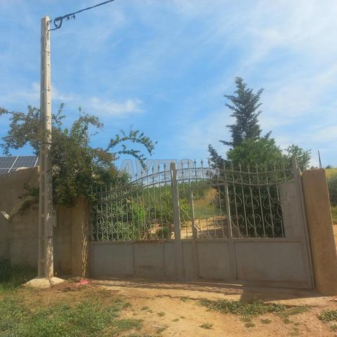 Ferme de 5 hectares à El Haj Kaddour 3amra