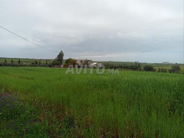 Ferme à vendre - 2