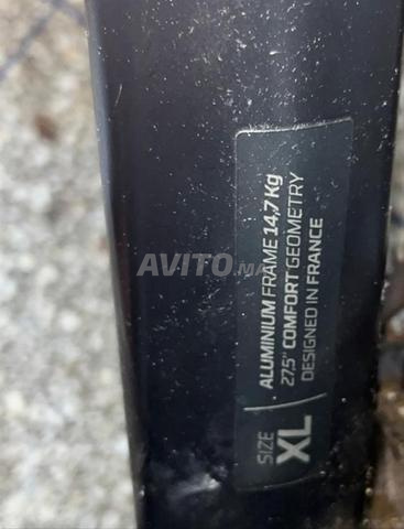 روك رايدر ST 520 - مقاس XL 27.5 بوصة - 2
