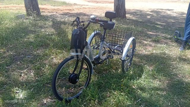 Vélo électrique à trois roues - 2
