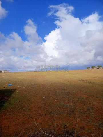 Terrain Agricole de 2 hectares à Tiflet à Vendre