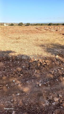 Terrain à vendre près du souk d'Afourer –