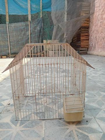 Cage moyenne pour poussins ou oiseaux - 2