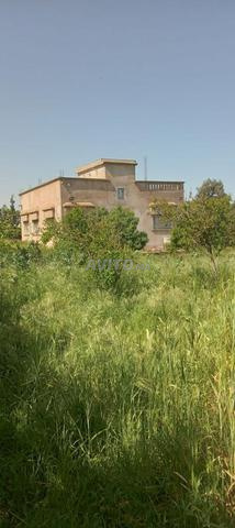 Ferme de 3283 m² à Tnine Chtouka Azemmour - 2