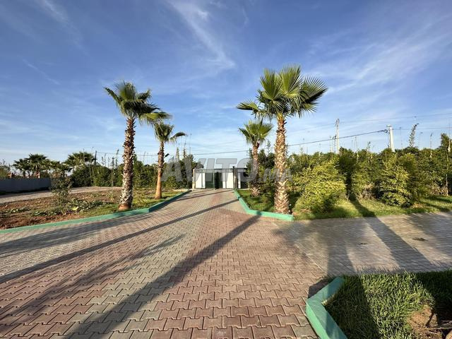 مزرعة للإيجار مع مسبح 🌳