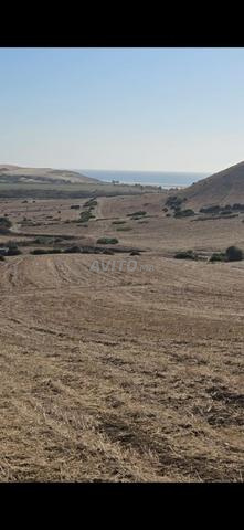 Terrain titré avec permis de construire et vue mer
