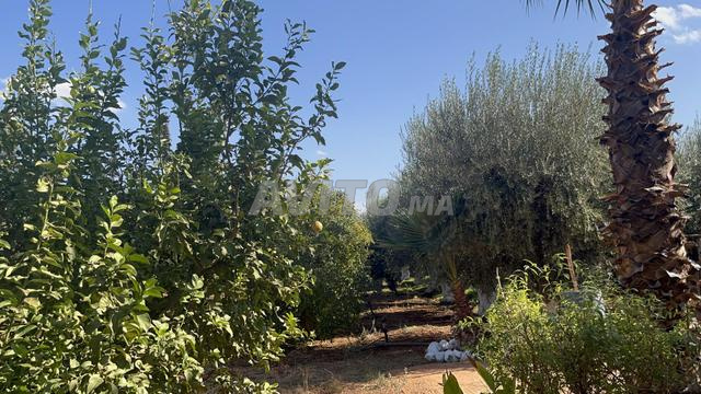Ferme titrée à 20 mn de Fes à vendre