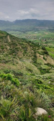 6 hectares à vendre, titre foncier transférable, vieux marché