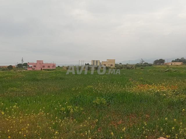 جماعة البركنين الناظور - 2