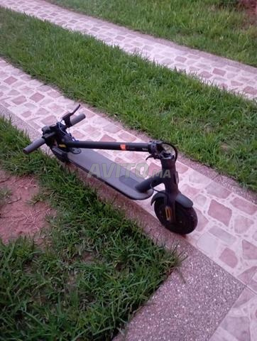Trottinette électrique Pro3 - 2