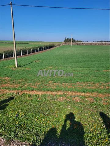 Vente de terrains conservés - Sidi Rahal - Vue sur mer - 2