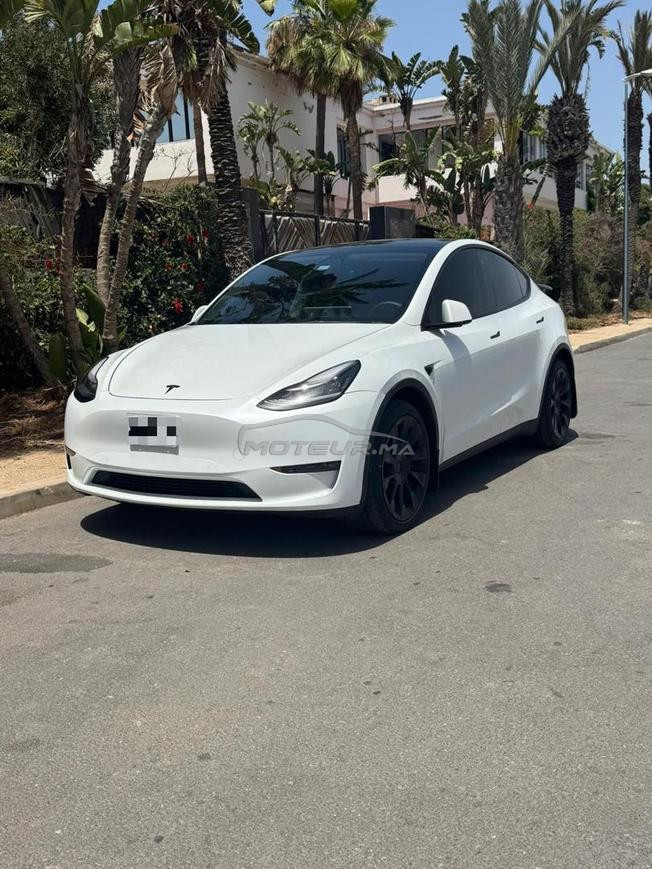 Tesla Model Y Electrique Automatique 2021