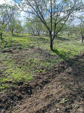 Terrain pour projet agricole