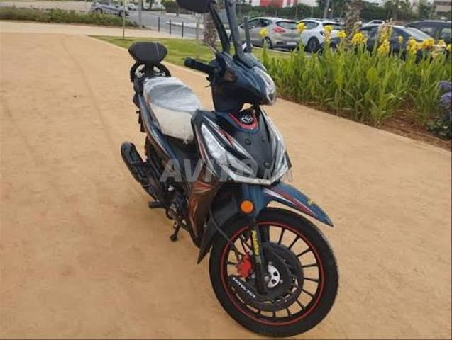 Sanice Fice R1000 modèle 2022 - 2