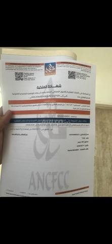 المستقبل الضحى