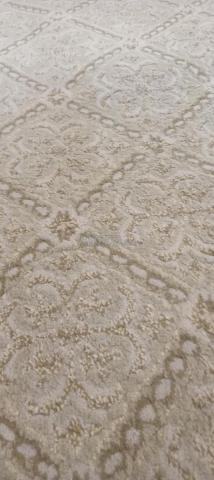 Tapis beige 2,5m x 4m à vendre - 2