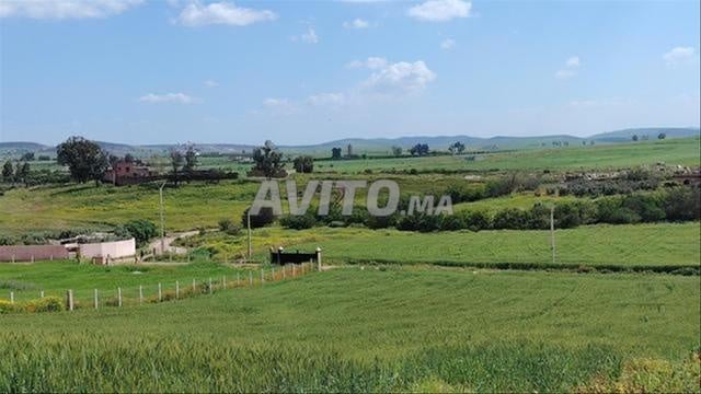 Vente de terrains agricoles enregistrés et villas prêtes à l'emploi – SHTOUKA
