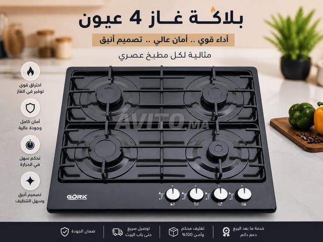 Plaque de cuisson - 2
