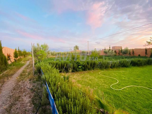 Terrain à vendre de 3600 m klm 26 de Marrakech