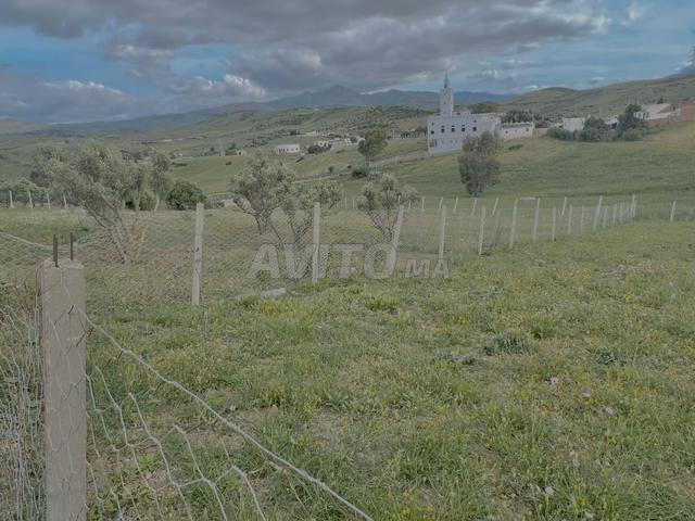 أرض للبيع طريق طنجة تطوان 1600 متر - 2